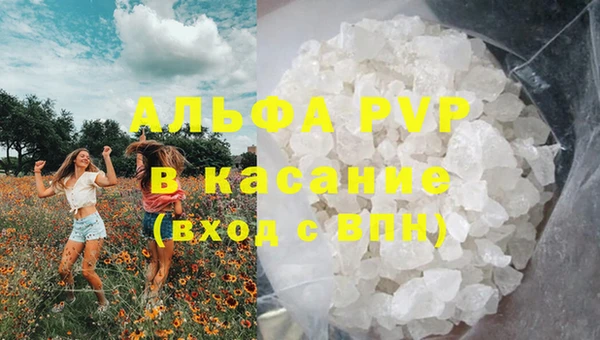 кокс Гусев