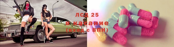 кокс Гусев