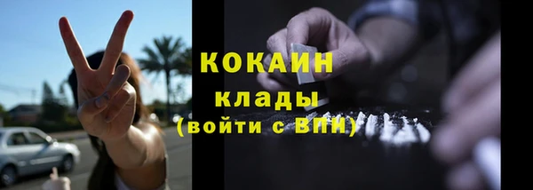 кокс Гусев