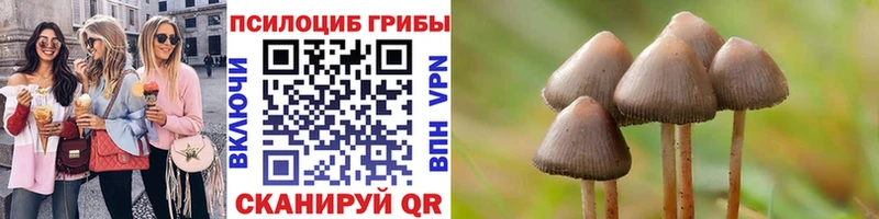 kraken ТОР  наркота  Мантурово  Галлюциногенные грибы прущие грибы 